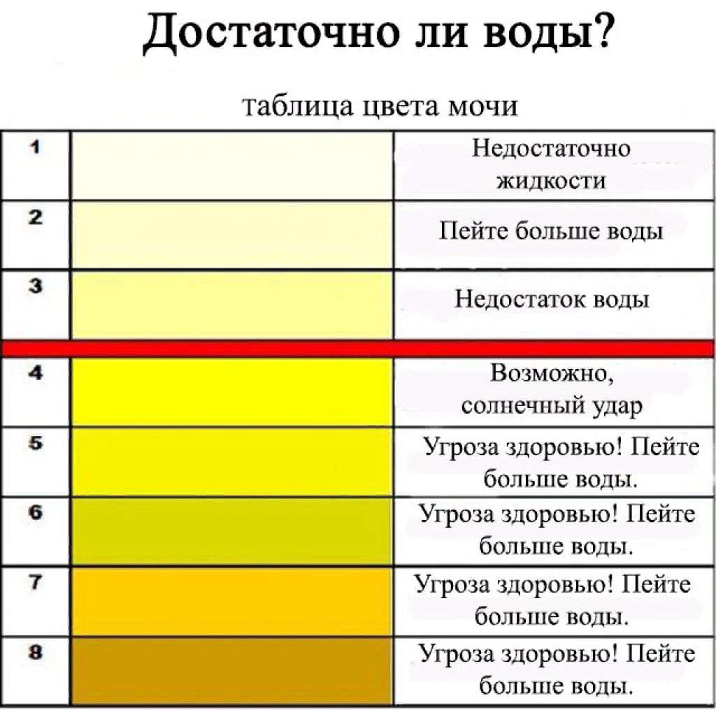 Желтая моча у собаки