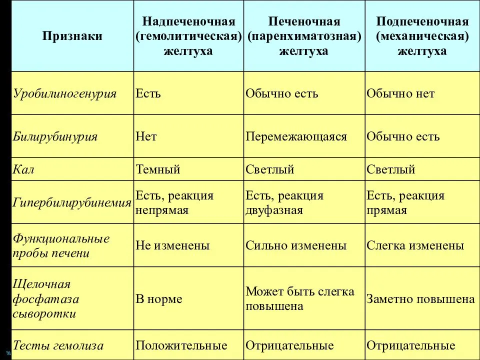 Признаки, симптомы, предвестники приближающихся родов