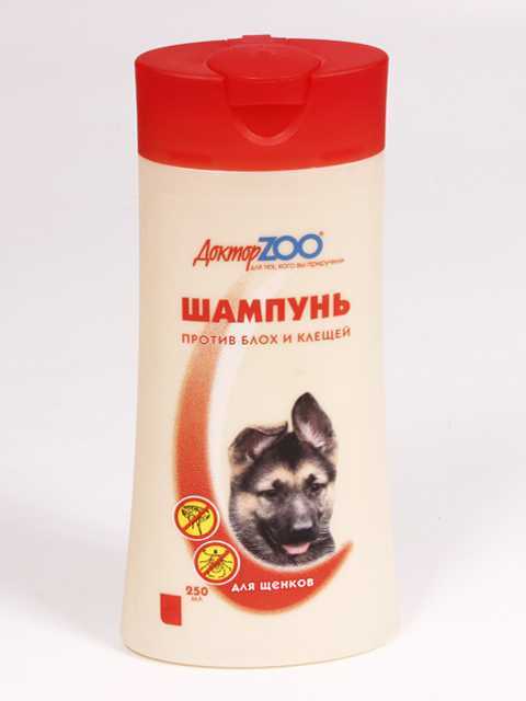 Шампуни от блох для собак чистотел, луговой и другие: какой лучше для щенков 1, 2 и 3 месяцев, беременных и кормящих особей? отзывы о хороших и эффективных средствах