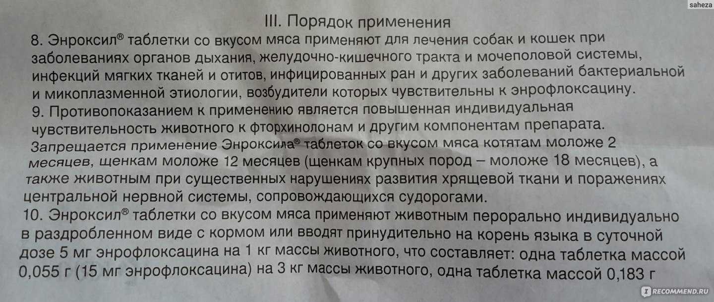 Цистон для кошек