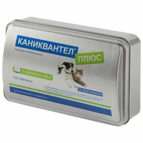 Каниквантел для кошек, инструкция по применению: как давать питомцу таблетки от глистов?