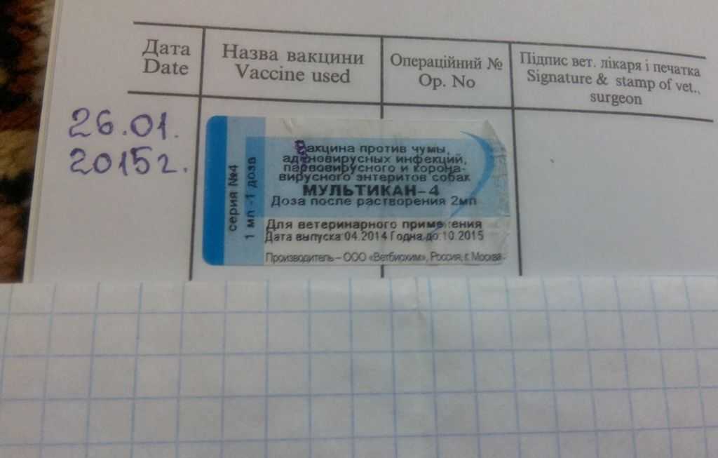 Вакцина мультикан (4, 6, 8) для щенков и взрослых собак: схема вакцинации, для чего делают прививку. вакцина мультикан: особенности вакцинации животных
