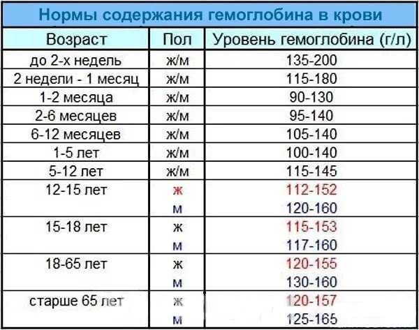 Почему развивается анемия у собак и как её лечить. низкий и повышенный гемоглобин у собаки: причины и помощь