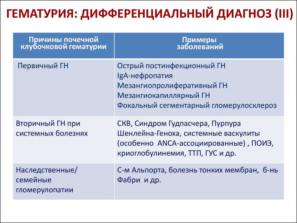 Кровь в моче у кошки: причины и лечение