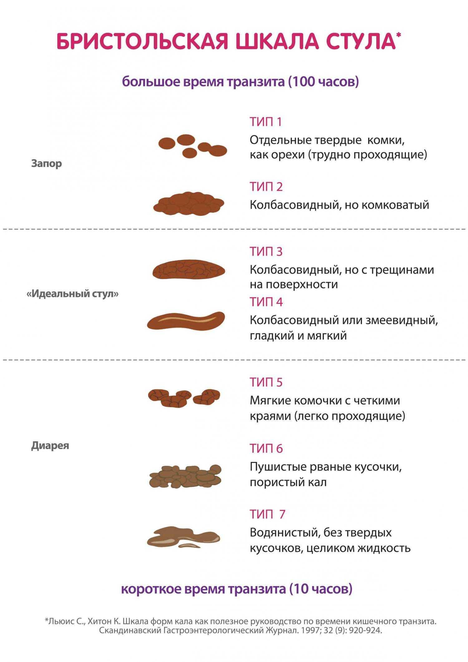 Белый кал у собаки — причины появления светлых какашек