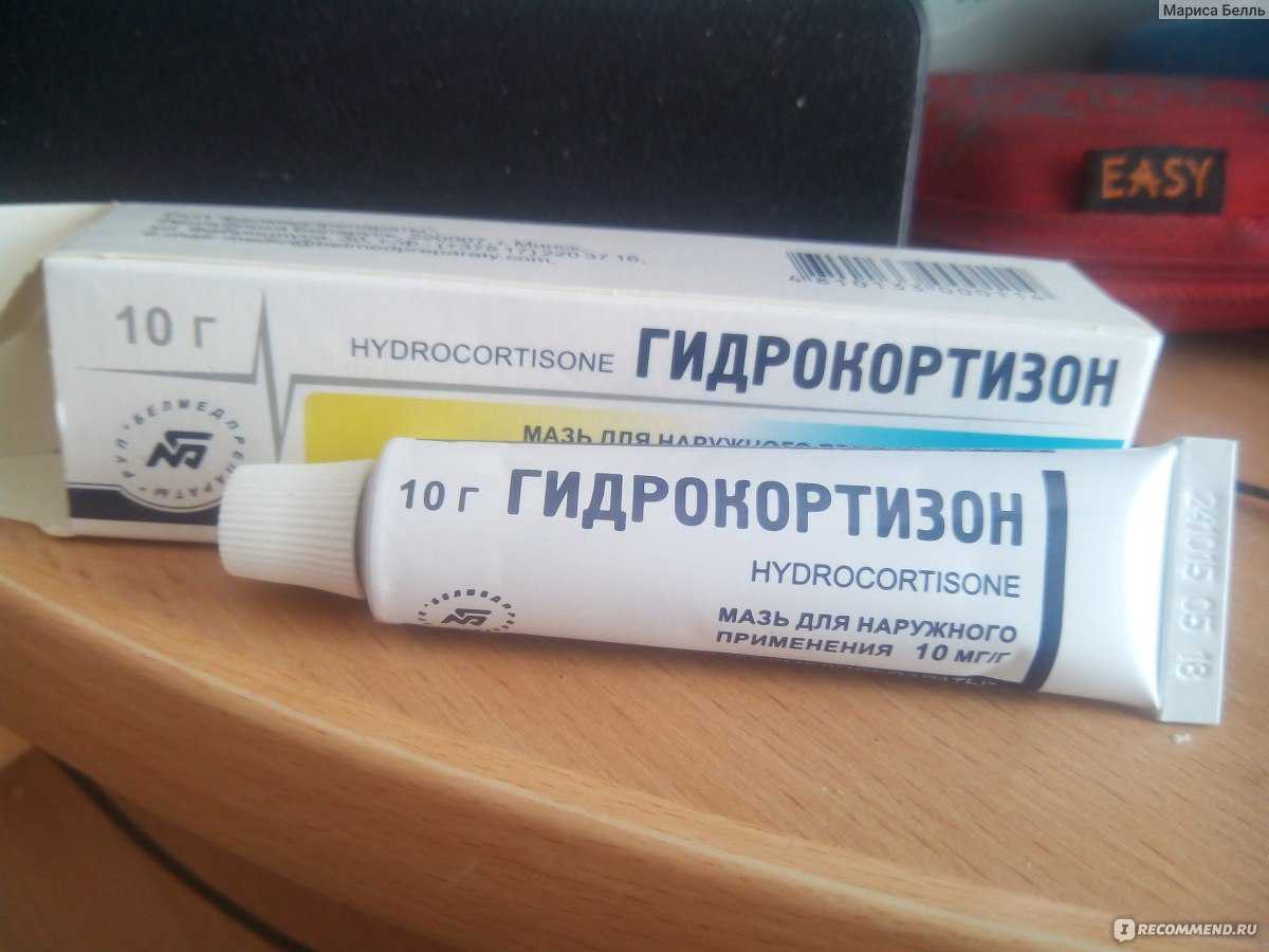 Особенности лечения гноящихся глаз у кошек