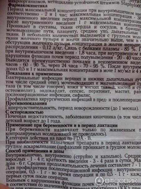 Цефтриаксон для собак – эффективная помощь при инфекциях