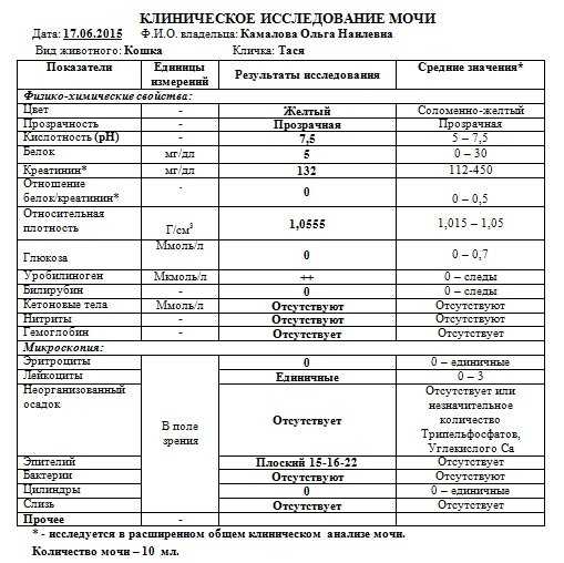 Кот писает с кровью после кастрации: причины, лечение
