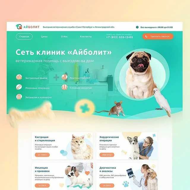 Почему у собаки чешутся уши