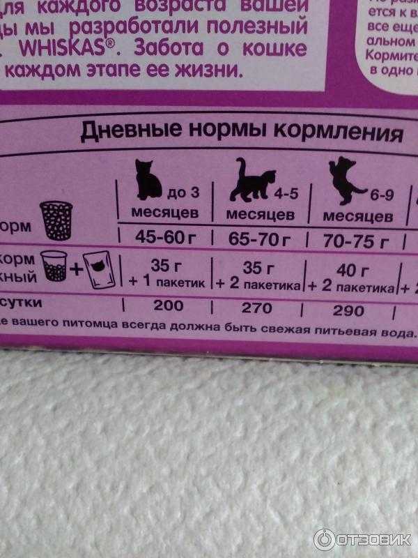 Обзор корма для кошек «феликс»