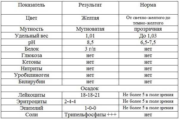 Симптомы и лечение мочекаменной болезни у собак в домашних условиях