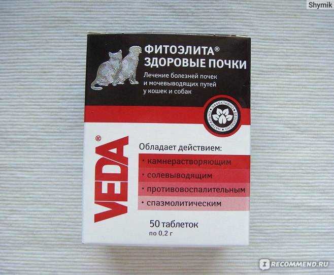 Фитоэлита здоровые почки для кошек: состав, инструкция, отзывы | кот и кошка