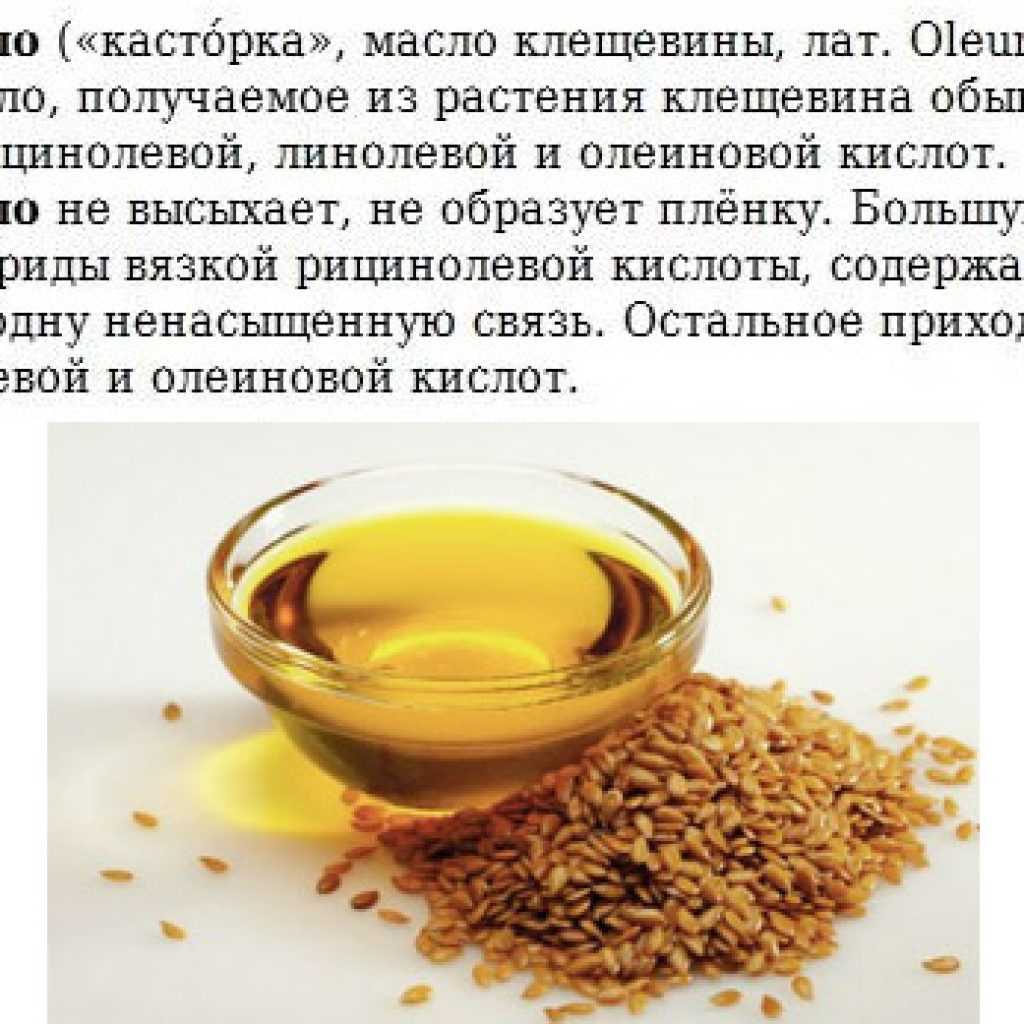 Слабительное для кошек, 5 разновидностей: какое средство можно дать при запоре?
