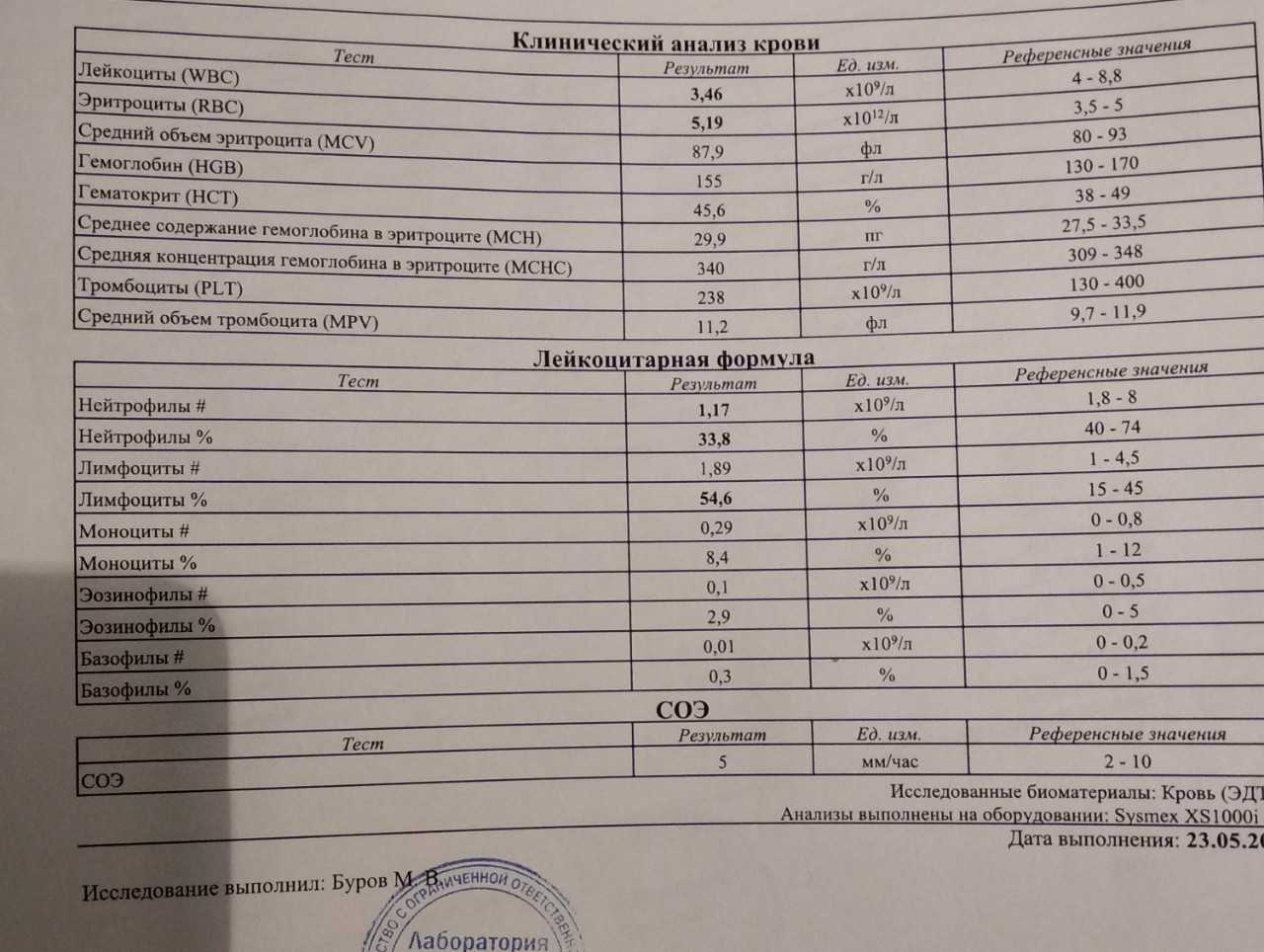 Показатели в общем анализе крови у котов: лейкоциты, лимфоциты, моноциты