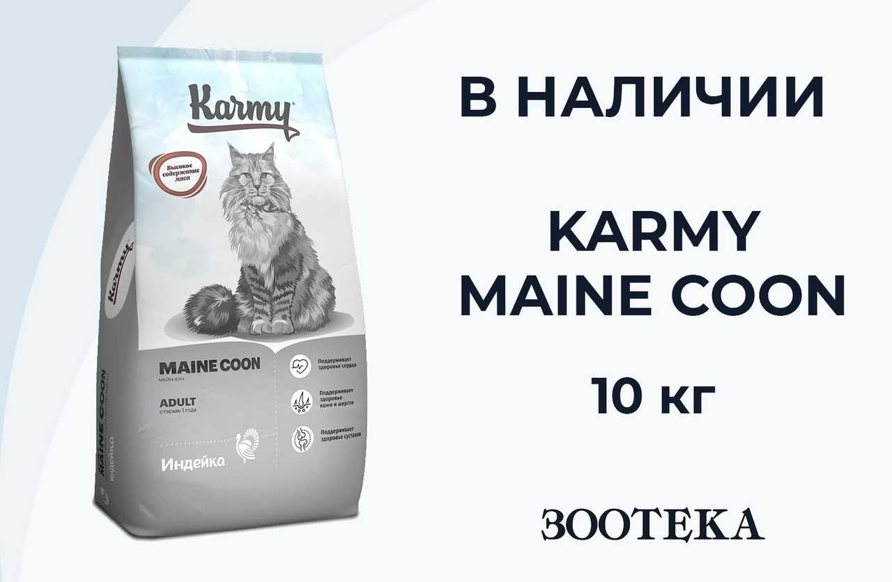 Чем кормить мейн-куна