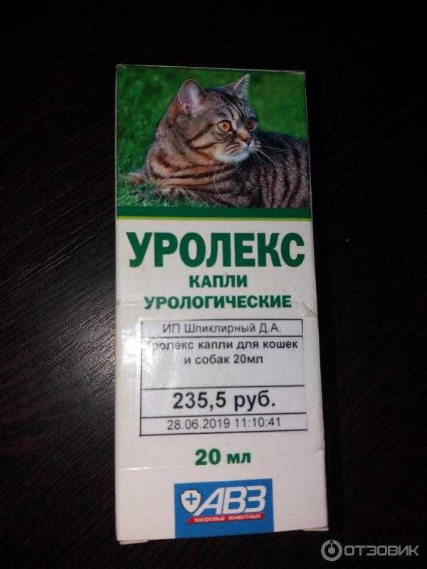 То, что необходимо знать перед использованием препарата уролекс для собак