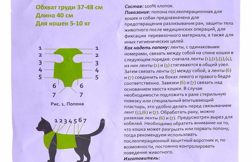 Уход за кошкой после стерилизации