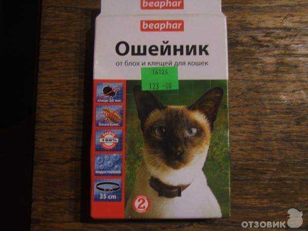 Эффективен ли ошейник от блох для собак и котов?