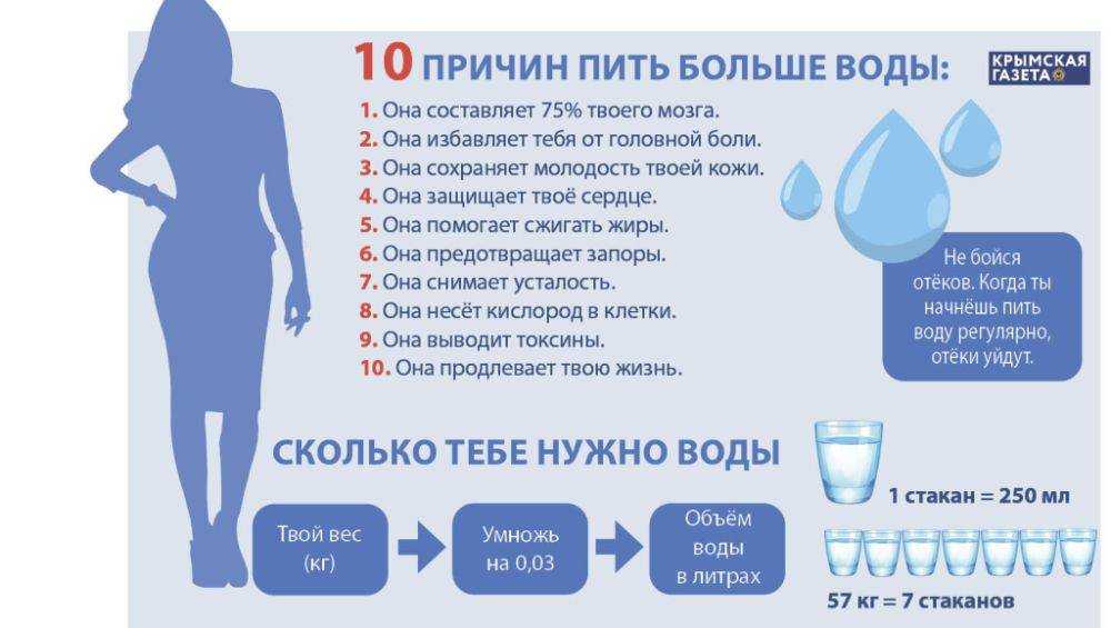 Кошка много пьет воды - причины повышенной жажды