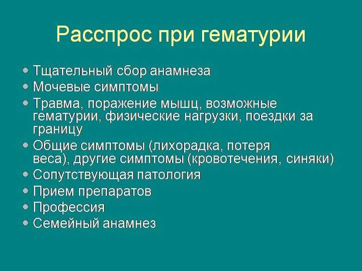 9 причин почему у кошки кровь в моче - симптомы и лечение