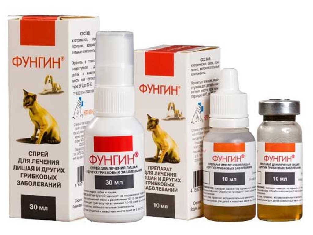 Противогрибковый шампунь для кошек от лишая