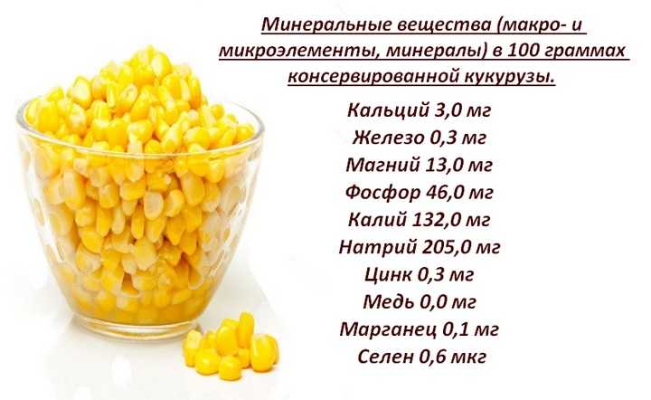 Какие крупы можно давать собакам