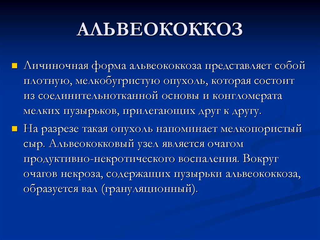 Глисты у кошек: как вывести паразитов