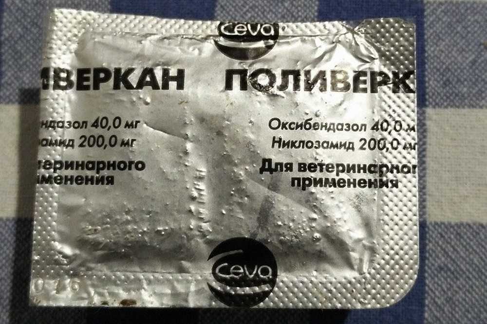 Поливеркан для собак: состав, формы выпуска, назначение, дозировка, противопоказания, аналоги