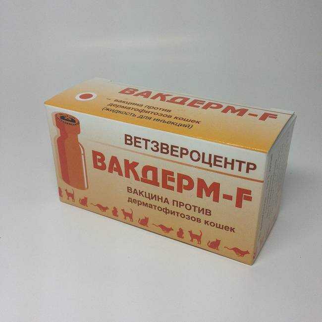 Инструкция по применению «вакдерма» для кошек:как использовать вакцины _ | wwwcat.ru