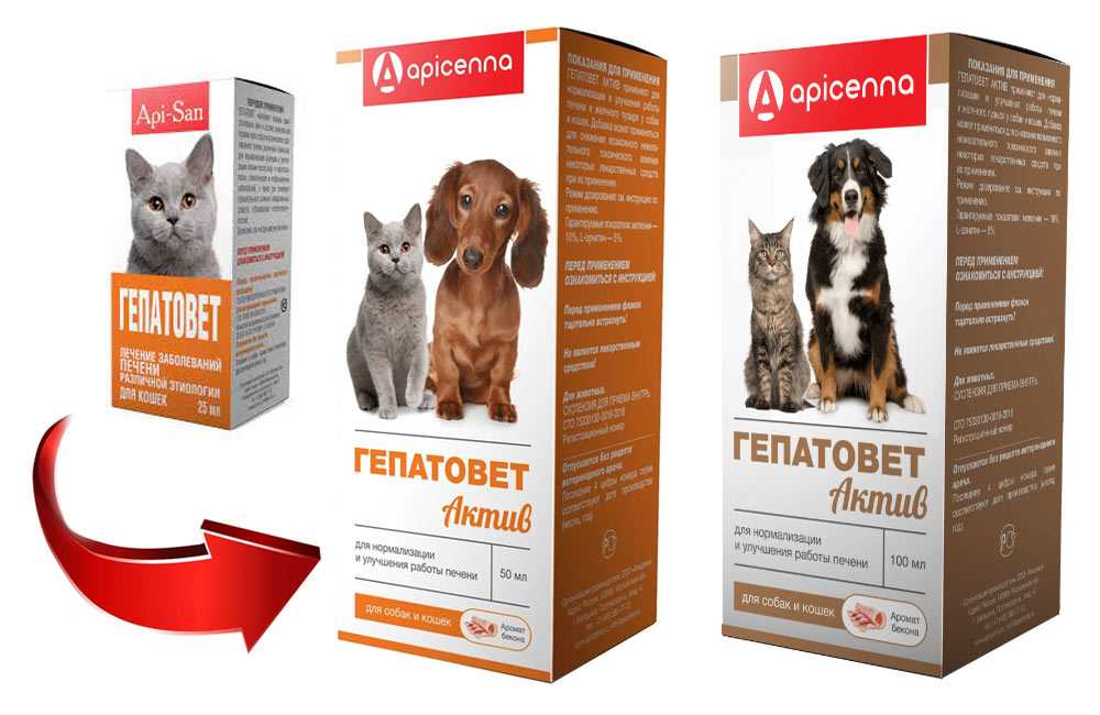 Гепатовет для кошек отзывы ветеринаров, гепатопротекторы для собаки