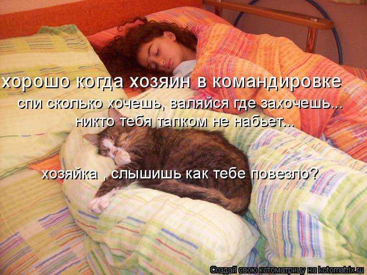 Как приучить котенка спать ночью, а не играть
