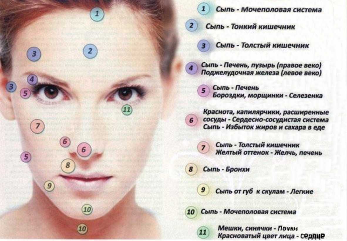 Акне у кошки: причины и лечение