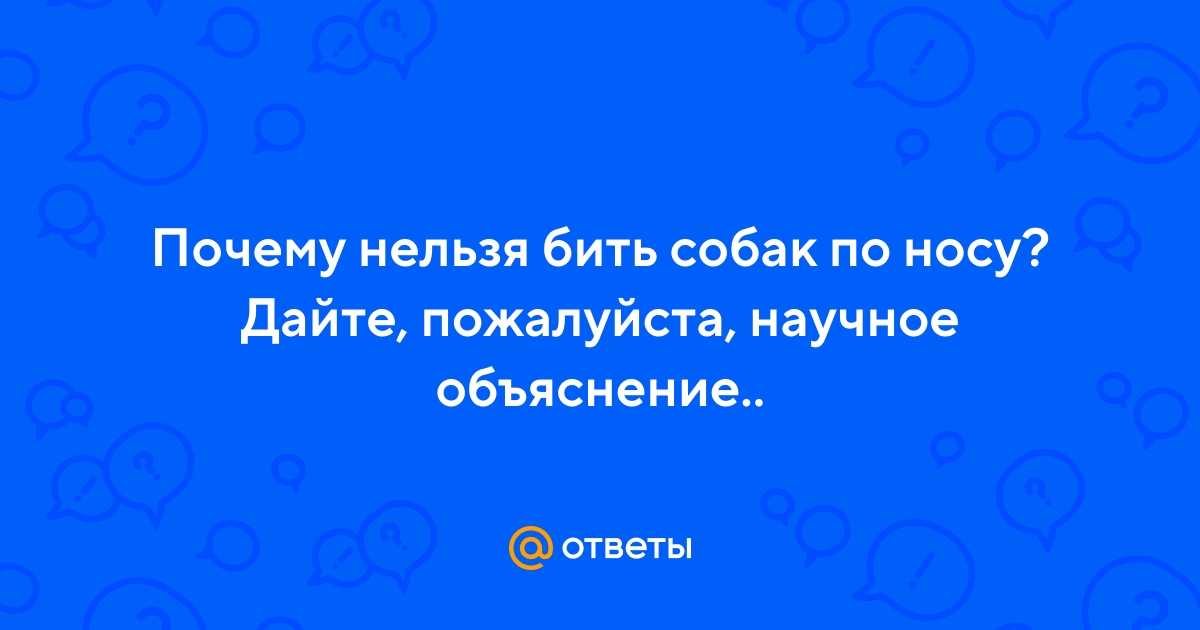 Защита от нападения агрессивной собаки, уязвимые места на теле собаки, защита от нападения собаки стоя и лежа, использование подручных предметов. | выживание в дикой природе