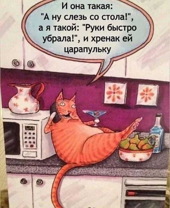 Как отучить кота орать: эффективные методы