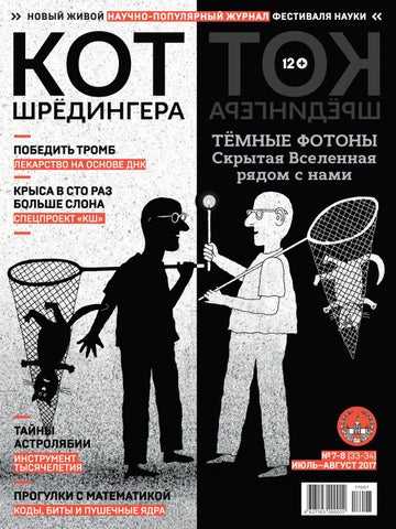 Скелет крысы: как выглядит крысиный череп с фото, особенности строения грызуна