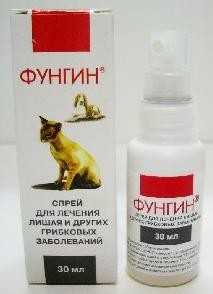 Использование препарата фунгин форте для лечения заболеваний кожи у кошек