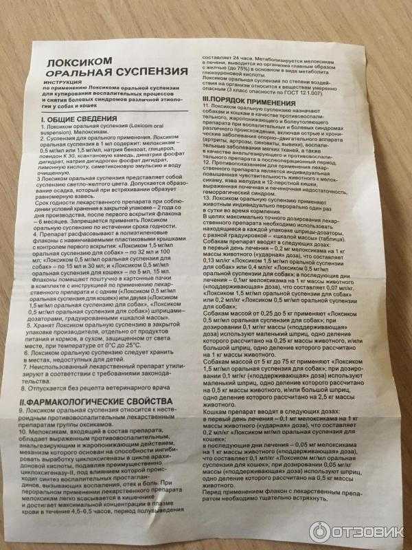 Ветеринарный препарат Локсиком для кошек и котов: формы выпуска, показания и инструкция по применению, противопоказания, отзывы, цена