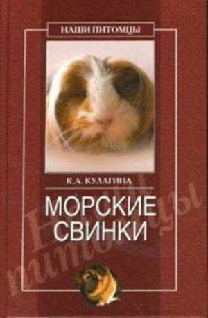 Как дрессировать морскую свинку в домашних условиях?