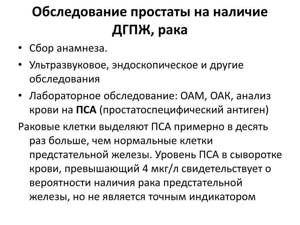 Увеличенная простата у собак: лечение доброкачественной гиперплазии предстательной железы