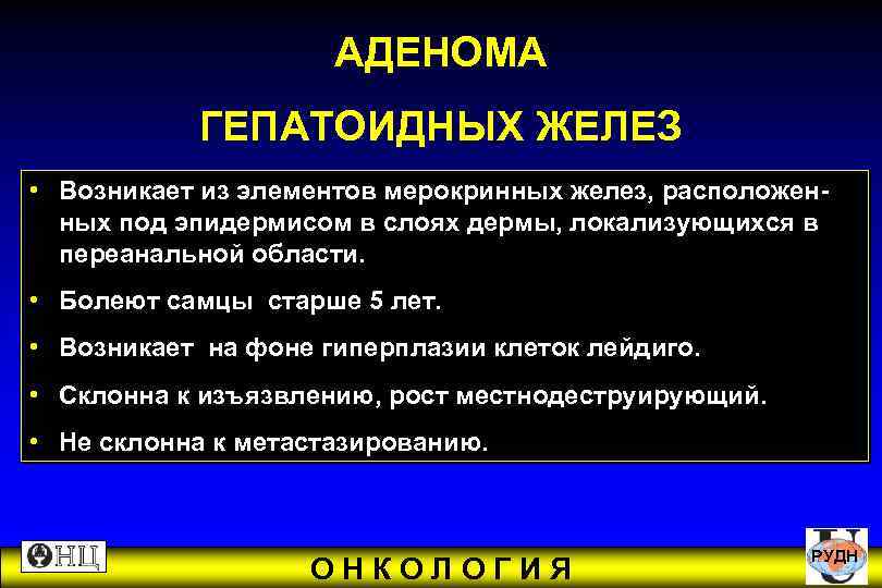 Атеромы у собак: причины развития и лечение | звери дома
