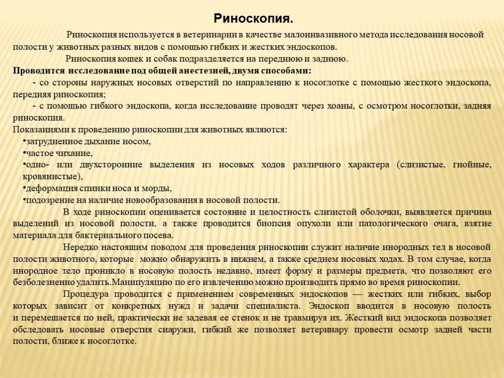 Гастроскопия, риноскопия, бронхоскопия у животных, собак и кошек, извлечение инородных тел у кошек, ректальное исследование у животных, извлечение инородных тел у собак