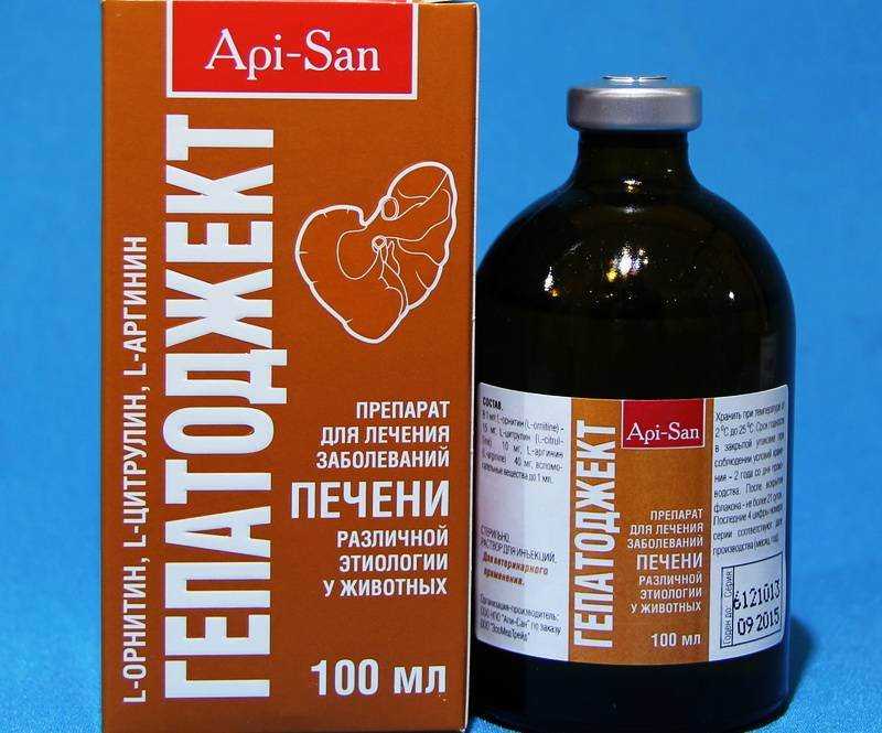 Гепатоджект для собак: инструкция по применению, терапевтические свойства и отзывы