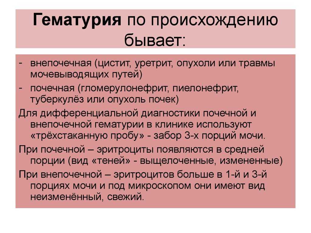 12 причин почему кот ходит в туалет с кровью по маленькому