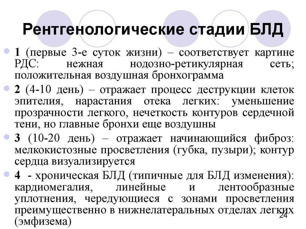 Дисплазия у кошек: симптомы, лечение, питание