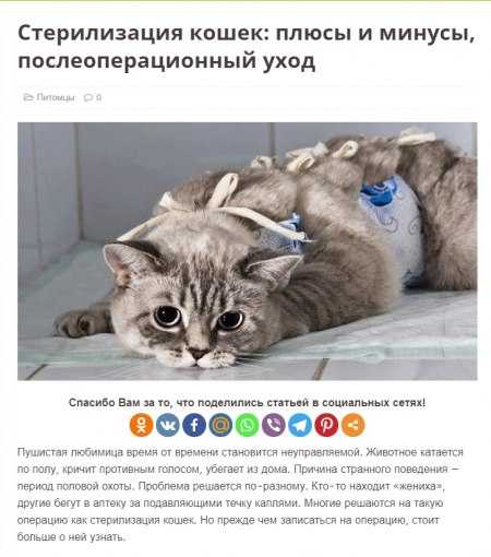 Кастрировать ли кота - доводы за и против кастрации, вред и польза от процедуры