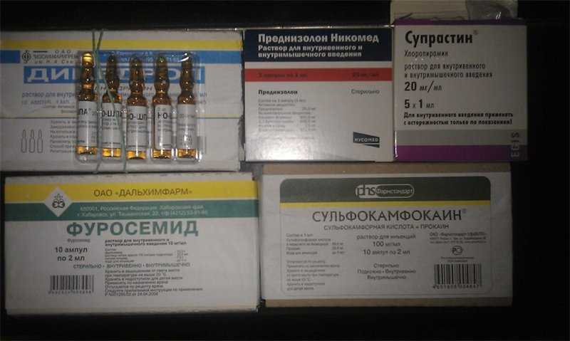 Инструкция по применению дексаметазона для владельцев собак и кошек