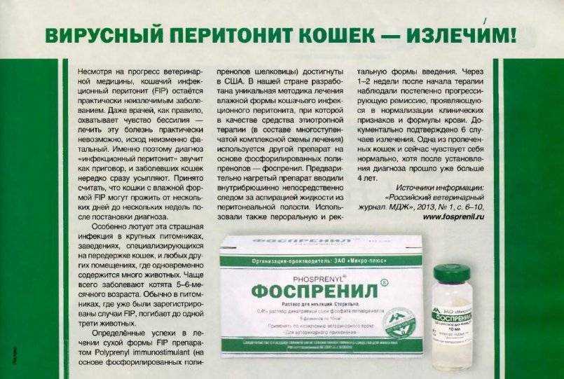 Применение фоспренила: советы владельцу