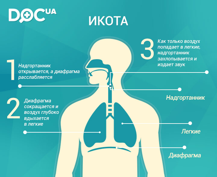 Кошка икает после еды: почему и что делать