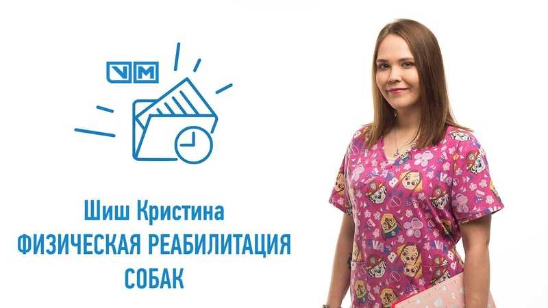 Чем кормить собаку при после пироплазмоза