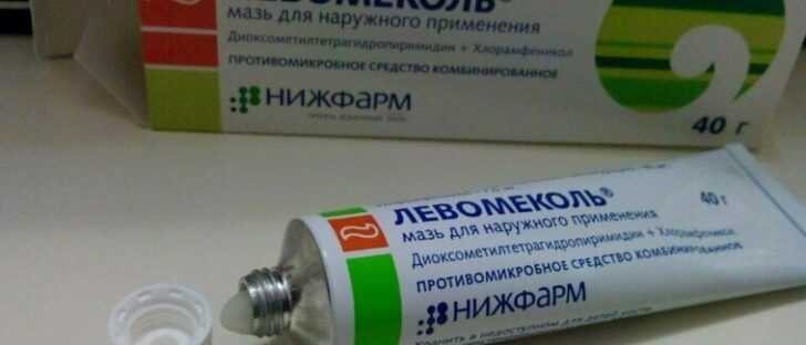 Левомеколь — универсальное средство для кошек